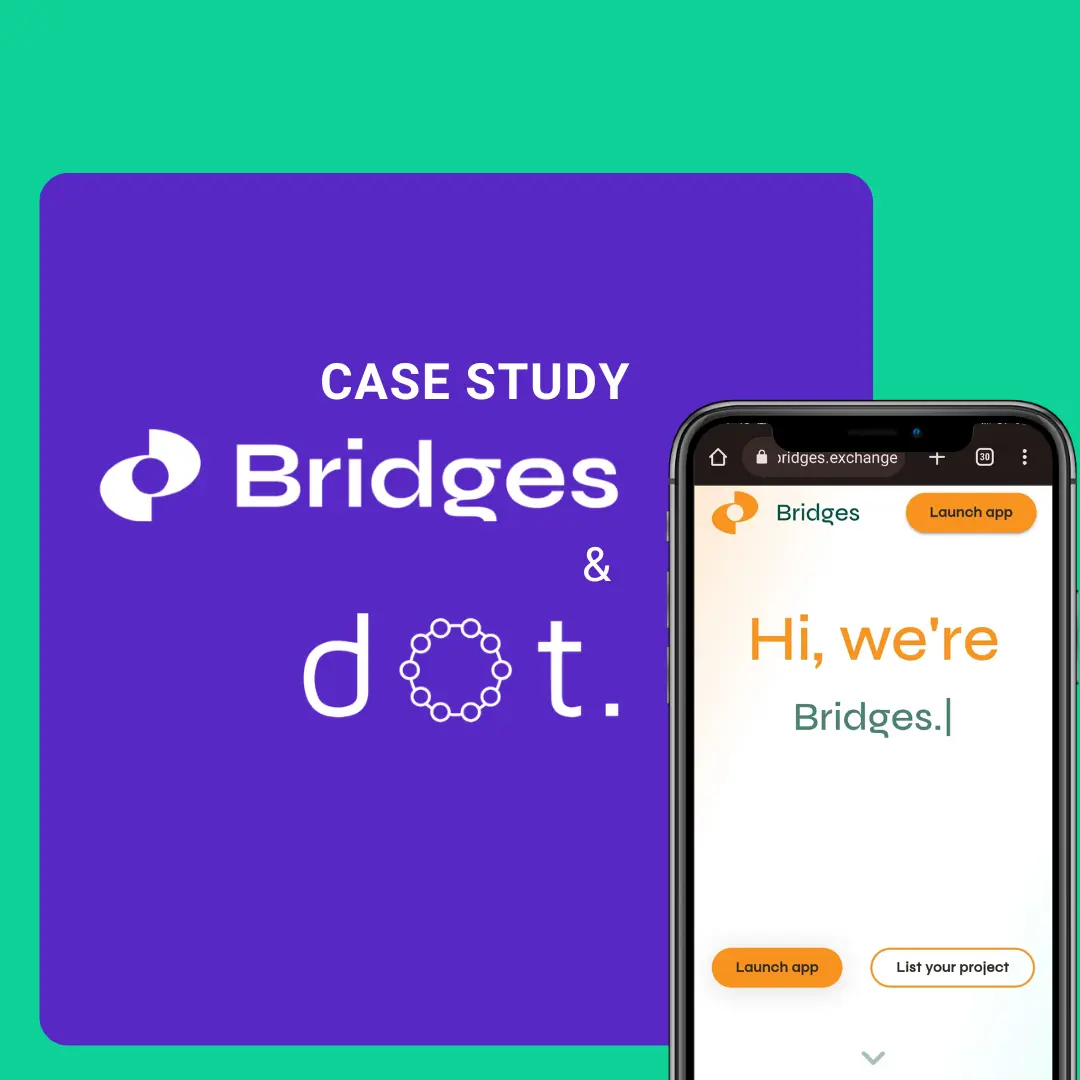 bridges-case study-dot